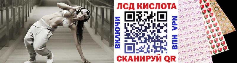 KRAKEN ТОР  Арсеньев  Марки N-bome 1500мкг 